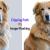 Clipping Path vs Image Masking: What’s the Difference?