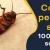 Pest Control Brisbane | 1800 122 695 | Pest Control Services | 7 Days