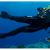 Is It Safe to Dive While Being Pregnant? | Blue Vision Diving Hotel