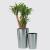 Stainless Steel Pots | Decorative Pots l Buy Plant Pots at Affordable Rate