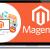 Magento Ecommerce Development Services | Magento Website Development Company