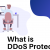 What is DDoS Protection