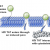 Cell Penetrating Peptide Design and Synthesis Services - Creative Peptides