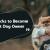 11 Life Hacks to Become a Smart Dog Owner - CanadaVetExpress - Pet Care Tips