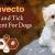Bravecto Flea and Tick Treatment For Dogs - CanadaVetExpress - Pet Care Tips