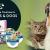 Best Parasite Treatments for Cats &amp; Dogs - CanadaVetExpress - Pet Care Tips