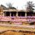  Danteshwari Temple- Barsur, Chhattisgarh | Nearby Places To Discover Around Danteshwari Temple | Travel Blogs | akshat-blogs