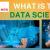 What is the data science?