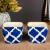 Ceramic Pots: Buy Ceramic Plant Pots Online at Best Price | Wooden Street