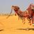 Jaisalmer hotel deals