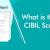 GOT ERRORS IN YOUR CIBIL REPORT? HERE’S HOW TO RECTIFY THEM TO IMPROVE YOUR SCORE