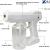 Blu Ray Anion Nano Spray Gun Price | Anion Nano Spray Gun