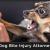 Dog Bite Lawyer and Animal Attacks | Dog Bite Injury Attorney