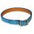 Best Small Dog Harness and Leash