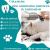 Find Professional Dog Grooming Services in Faridabad