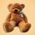 Giant Teddy Bear For Your Child’s Development- Know How? - WriteUpCafe.com