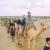 Jeep Safari In Jaisalmer | Camel Safari