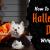 How To Celebrate A Safe Halloween With Your Pets? | Ourpetwarehouse