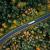 Driving Sustainability Forward with TMS Solutions in Logistics