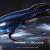 Etisalat hosts Acronis partner Airspeeder, the first electric flying racing car at GITEX