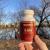 Where to Buy D Bal? Can I Buy DBal From GNC or Amazon?