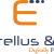 SEO Services in Bangalore | Best SEO Company in Bangalore | Entellus & co