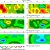 Electrical Resistivity Imaging | Tomography Company in India