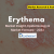 Erythema Market Size and Trends Analysis