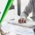 Export Chart of Accounts from QuickBooks Online