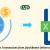 How to Export Transactions from QuickBooks Online to Excel?