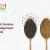 Why Organic sesame seeds are Important foods ?