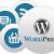 wordpress jobs