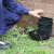 How To Control Rats Permanently From Your Place? | Inventive Blog Collections