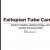 fallopian-tube-cancer-market-size-share-trends-growth-forecast-epiedmiology-pipeline-therapies-therapeutics-clinical-trials-uk-usa-france-spain-germany-italy-japan