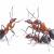 Bakersfield Ant Exterminator | Natrix Pest Control