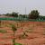  Open Plots for Sale Near Shamshabad, Thimmapur - Plots for Sale in Hyderabad, HMDA, Villas - 9652317300 