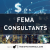 FEMA Consultants in Delhi: An Overview