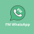 How to Use FM Whatsapp Like a Pro