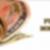 Best Rate Currency Exchange Services  | GDSFOREX