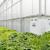Greenhouse Manufacturers in India