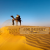 Book a desert camp in Sam Sand dunes with JCR Desert camp