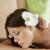 5 Laws That'll Help the Massage In Thane Industry