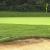 Public Golf Courses Carlisle | Cumberland Golf Course in Carlisle - The Business News