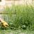 Garden Clearance: Garden Clearing and Rubbish Disposal