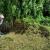 Understanding Garden Clearance in Merton and council refuse