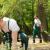 10 Reasons to Hire a Professional Garden clearance in Sutton