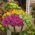 Online Garden Store | Garden Accessories Online | Garden Decor Online