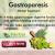 10 Natural Remedies for Gastroparesis Treatment &#8211; Herbal Care Products