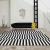 Unique Black and White Striped Rug Modern Design Carpet for Living Room - Warmly Home