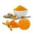 USDA Approved Bulk Organic Turmeric Powder Supplier in USA